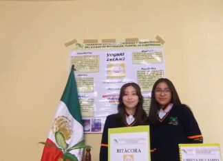 Alumnas del Cecytem Puruándiro ganan oro y acreditación en Colombia