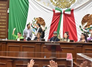 Impulsa 75 Legislatura mayor protección a la Mariposa Monarca