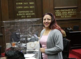 Con responsabilidad, Congreso analiza leyes de ingresos municipales para 2023: Seyra Alemán