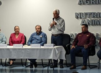 Se mantiene Michoacán en los primeros lugares producción porcina: Sader