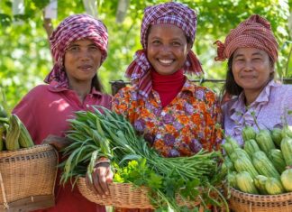 Los precios de los alimentos bajan en diciembre, pero se mantienen altos, advierte la FAO