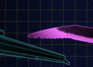 La degradación de la diversidad provoca la pérdida definitiva de los recursos naturales