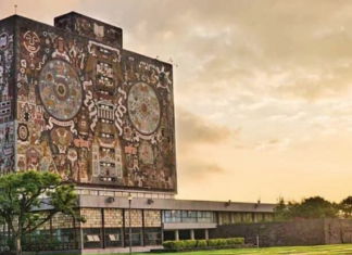 UNAM rescinde contrato a Martha Rodríguez, asesora de ministra Esquive