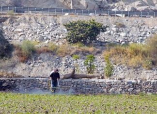 Si aborda el hambre y la desigualdad, América Latina se colocará a la vanguardia de la alimentación y la agricultura mundiales