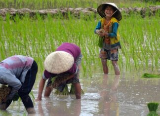 Hay que recuperar los humedales, el hogar del 40% de toda la biodiversidad