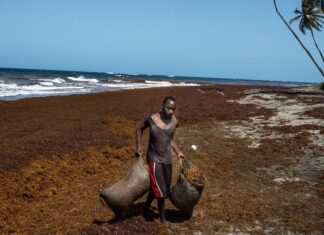 Países enteros podrían desaparecer para siempre con el aumento del nivel del mar