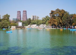 La Ciudad de México y Montevideo reciben premio de la Alianza para Ciudades Saludables