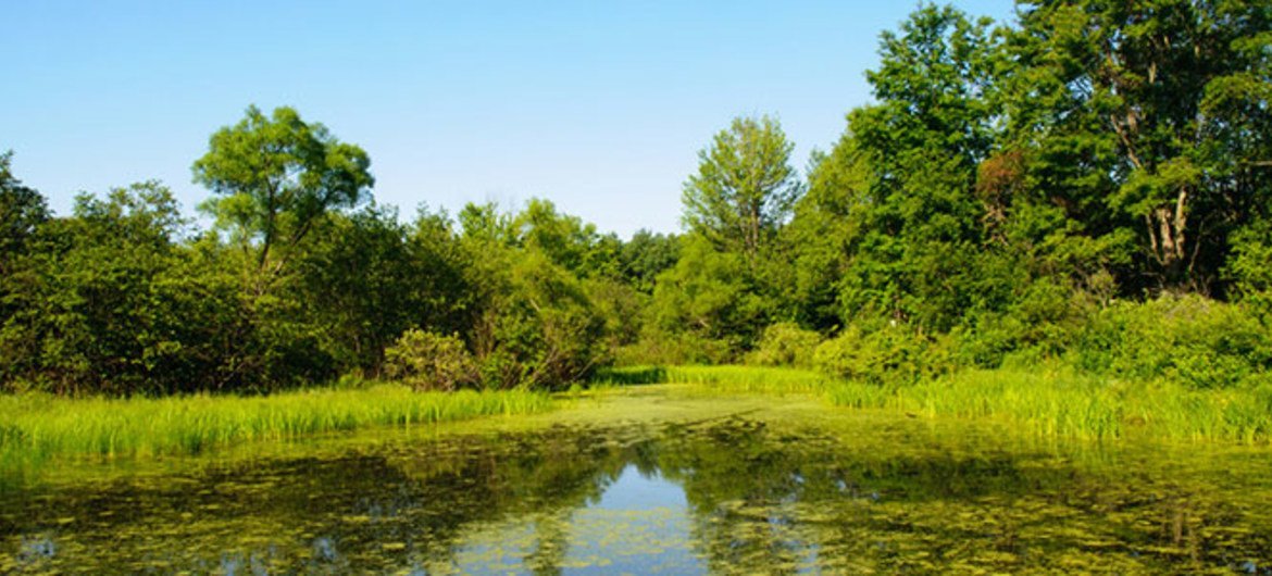 image1170x530cropped-12