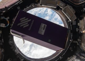 Los “cultivos cósmicos” pueden ayudar a nuestra alimentación