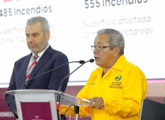 Disminuye 40% superficie afectada por incendios forestales en Michoacán: Cofom