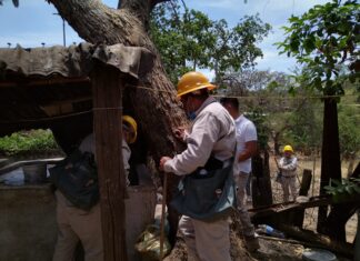 Ha realizado SSM más de medio millón de acciones contra el dengue