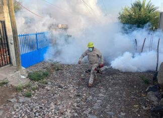SSM continúa con el combate contra el dengue en municipios de Michoacán