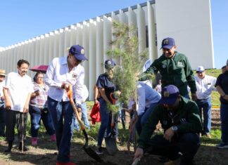 En equipo, personal de la UMSNH reverdece Ciudad Universitaria