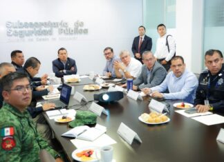 Baja homicidio doloso en región Morelia: Torres Piña