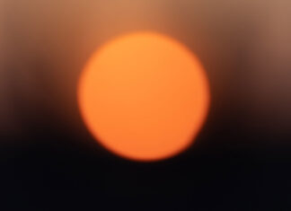 OMS: La ola de calor en el sur de Europa “puede ser mortal”