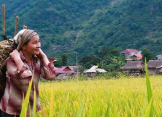 Transformar el sistema agroalimentario para resolver los retos más importantes del mundo