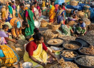 ONU urge a invertir masivamente en sistemas alimentarios sostenibles, saludables y resilientes