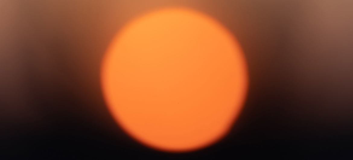 image1170x530cropped-23