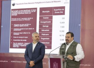 Proteger 133 áreas naturales preservará 14 mil especies de flora y fauna: Secma