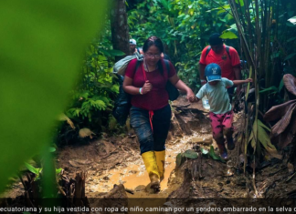 El cruel peaje por el ‘sueño americano’ para las migrantes en Latinoamérica: “Abusaron de las que no teníamos dinero”