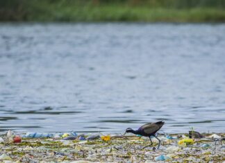 Colombia, Jamaica y Panamá se unen para combatir la contaminación urbana del plástico