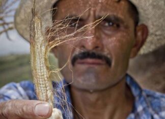 Arranca un Plan para hacer frente a El Niño en América Latina