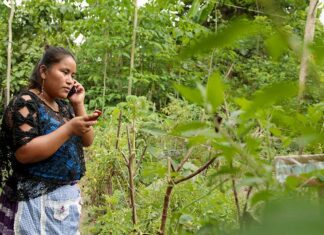 La ONU reitera su preocupación por los “intentos de socavar” los resultados de las elecciones en Guatemala