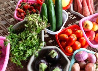 Mientras crece la hambruna, se desperdician 570 millones de toneladas de alimentos al año