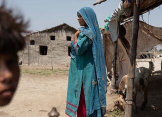 No actuar contra el cambio climático pone en peligro nuestra vidas y nuestro desarrollo