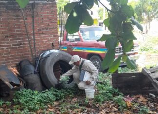 SSM protege contra el dengue a población de Buenavista
