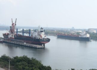 Lázaro Cárdenas, único puerto del Pacífico con capacidad de crecimiento: Sedeco