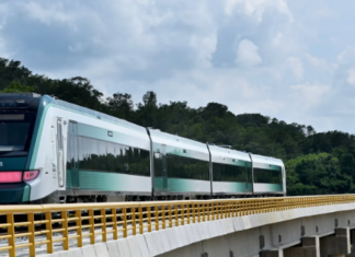 PIB de México registrará este año un sólido crecimiento de 3.4%: OCDE