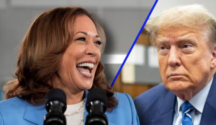 Screen-Shot-2024-08-18-at-10.03.59-PM