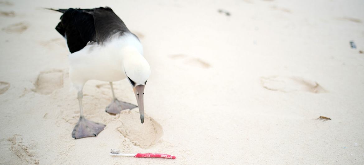 image1170x530cropped-11