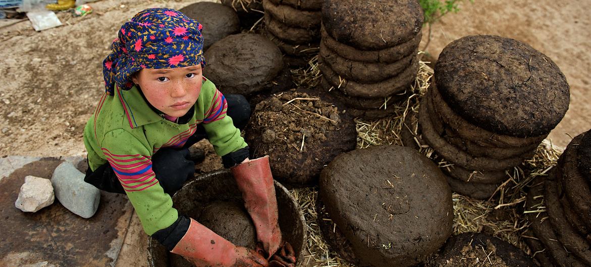 image1170x530cropped