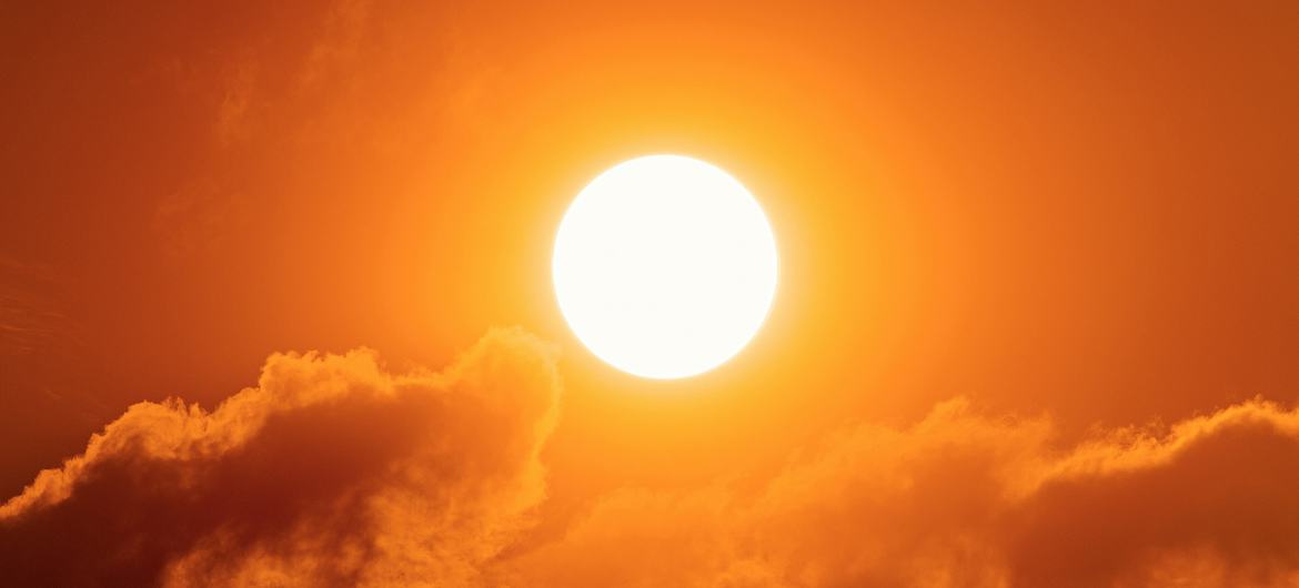 image1170x530cropped-10