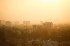 La Jornada - Mantiene CAMe fase 1 de contingencia ambiental por ozono en el  Valle de México