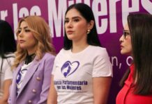 Coordinación legislativa impulsará iniciativas en favor de las mujeres: Diana Espinoza
