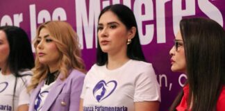 Coordinación legislativa impulsará iniciativas en favor de las mujeres: Diana Espinoza