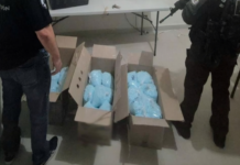 Asegura Gobierno Federal más de 270 kilos de fentanilo en Colima